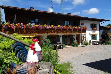 Ferienwohnung in unmittelbarer Nähe zum Natursee