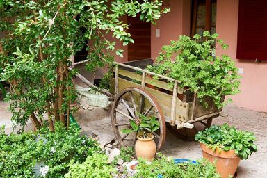 Romantische Ferienwohnung im UNESCO Weltnaturerbe Monte San Giorgio