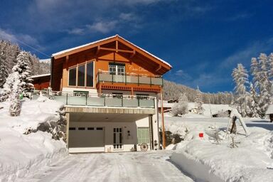 Chalet Davos