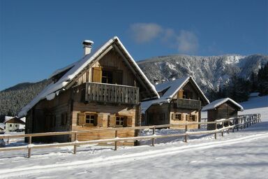 Feriendorf Lassing-Hochkar - Ferienhaus 3 (50qm) mit Kachelofen