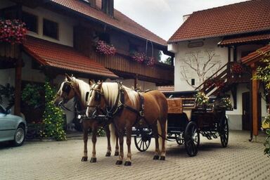 Appartementhaus "Haflinger Hof" - Typ4