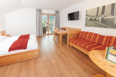 Aktiv & Sport Apartment Oberjörg - Apartment 204,205 2-3 Pax/Wohn-SR