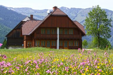 Schaffergut Appartements - Ferienwohnung 3 WiesenGlück