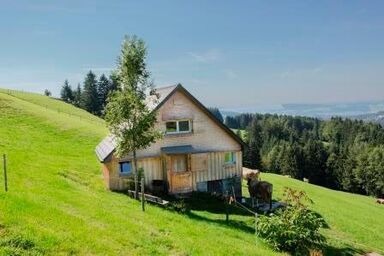 "Hüttli" neben dem Bauernhof Fendrig