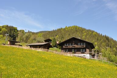 Ferienwohnung im Chalet Adelheid