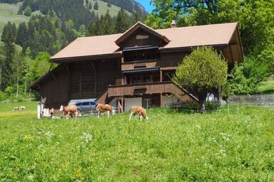 Chalet Rüteli 2-Zimmerwohnung