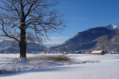 graublau - Appartement, 38 qm mit Bergblick, bis 4 Pers., Balkon