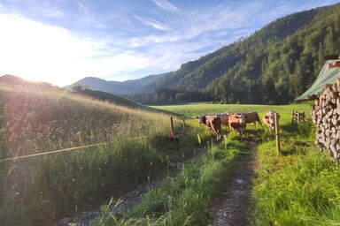 Eckarthof - Ferienwohnung "Blick Sonntagshorn"