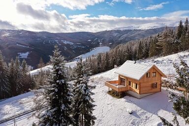 Holzfäller-Chalet