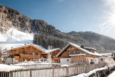 Chalet mit Naturbadeteich Frauenkogel by FeWo-Plan  (GROA101)