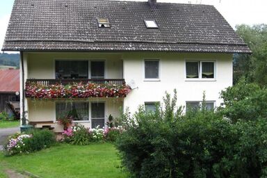 Appartement in Waldmünchen mit Garten und Grill