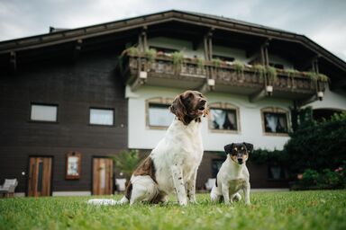 Villa Waidblick - Augenblick - Hunde willkommen-extra buchbar