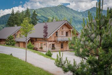 Almwelt Austria - Almhütte "Holzknecht"