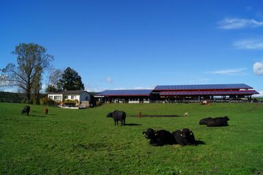 Erlebnis- und Biobauernhof Bolderhof, (Hemishofen).