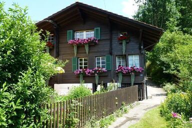 Chalet Flädermuus