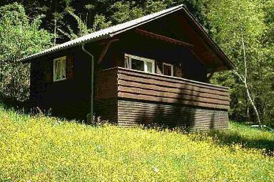 Ferienhaus für 4 Personen ca. 42 qm in Hohenweiler, Vorarlberg (Bodensee)