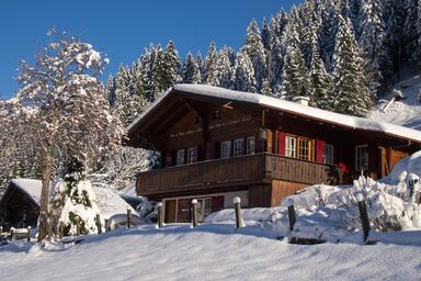 Chalet Iris 3-Zimmerwohnung