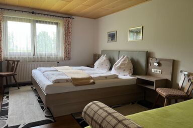 Privatpension Gosaukammblick - Doppelzimmer mit Beistellbett