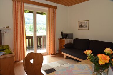 Ferienwohnungen Haus Monika - III Ferienwohnung 50 qm mit einem separaten Schlafzimmer, Wohnküche, Süd/Westbalkon