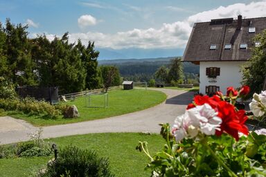 Biohof-Rechenmacher - 2 Ringelblume