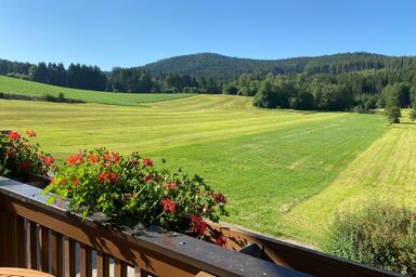 Ferienwohnungen Leithenwald - Ferienwohnung Hennenkobel mit bis zu 4 Schlafzimmer 1 großes Bad und 1 x Dusche/WC