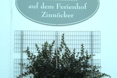 Ferienhaus Zinnöcker - Ferienhaus 1