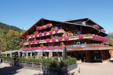 Arc-en-Ciel Gstaad - Double room