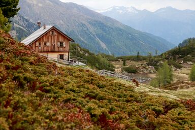 Landgut Moserhof - Alpinchalet Adlerhorst