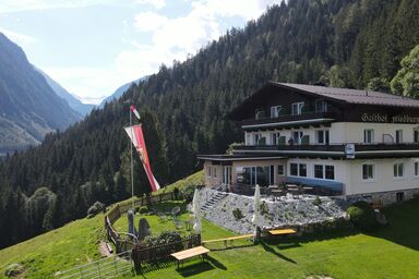 Gasthof und Appartement Friedburg - Einzelzimmer mit Dusche, WC