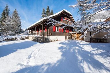 Berg-Ferienwohnung Crocus im Chalet Waldhüsli