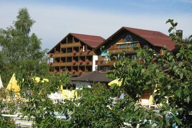 Appartementhaus im Himmelreich - App.Osser/Terrasse, 3 Pers.