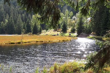 Beim Wartner - CHALETS & SUITEN - Luxus Chalet Jagdhaus mit Whirlpool