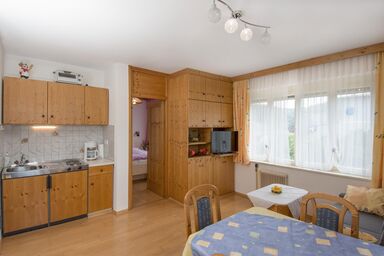 Pension Steurer - Appartement Salzkofelblick