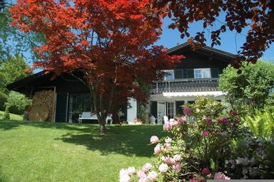 Chalet Hentschel - Ferienhaus Nest