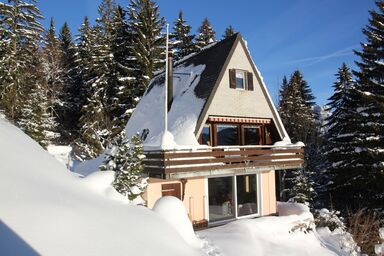 Haus Gimpel, (Flumserberg Tannenheim). 3.5 Zimmer Ferienhaus