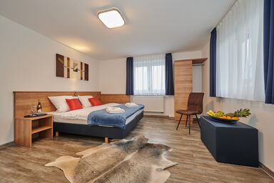 Sunny Hotel Straubing - Double room