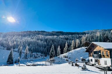 Dientalm - Almhütte Winter