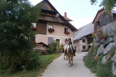 Reitbauernhof Ferner - FeWo Bauernhaus