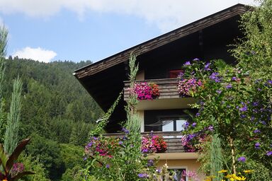 Landhaus Bonaventura - Appartement Salvia