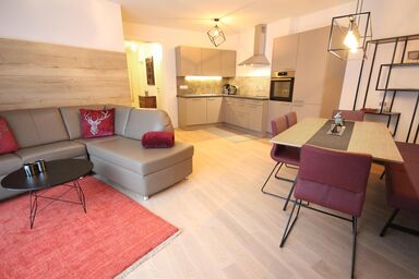 APPARTEMENTS PARKGASSE - Parkgasse Top 5