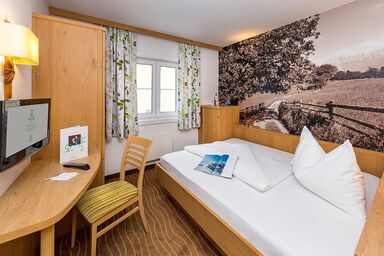 Hotel Grüner Baum - Einzelzimmer Economy