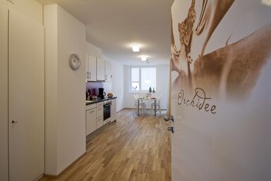 Abina Appartements de Luxe - Typ1, ORCHIDEE, 39 m2