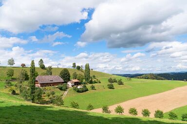 AUSZEIT auf dem BAUERNHOF. Heimelige Ferienwohnung für bis zu 4 Personen im Emmental. E-Bike Paradies. Wandern. Erholen.