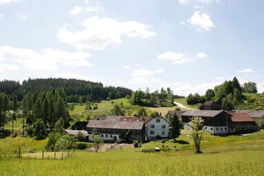 Biohof Besenbäck - Ferienwohnung VALENTINA (70qm) mit WLAN und Badeteich