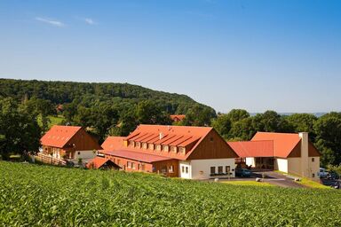 JUFA Hotel Tieschen - Bio Landerlebnis - Double room