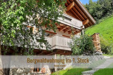 Kranzegger Bergheimat - Ferienwohnung Bergwald