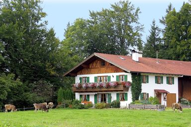 Ferienwohnung Dürr