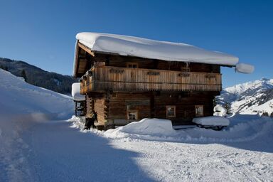 12 Personen Radlehen Berghütte Großarl Nähe Skigebiet by FeWo-Plan (GROA100)