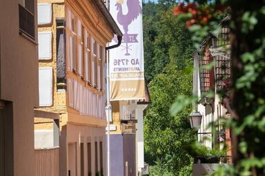 Wohnung in Marktheidenfeld mit Großem Balkon