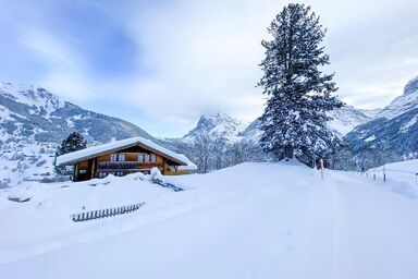 Ferienhaus Chalet Simeli